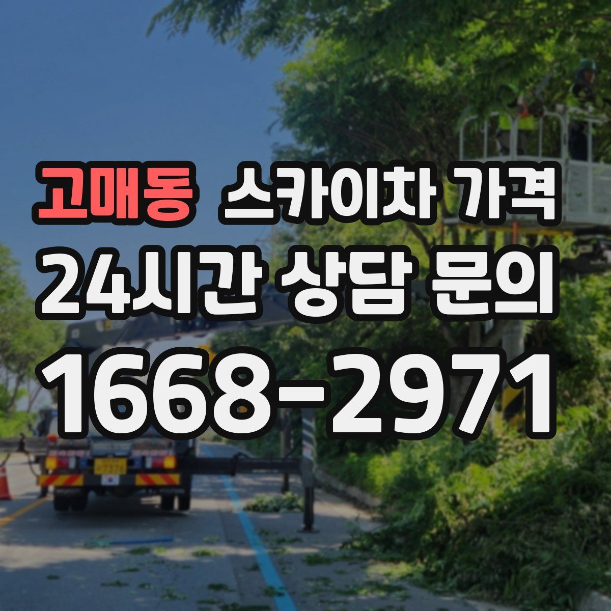 고매동 스카이차 가격