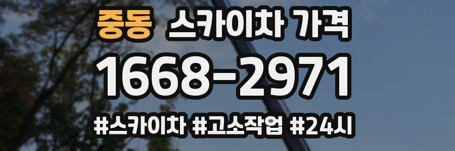 중동 스카이차 가격