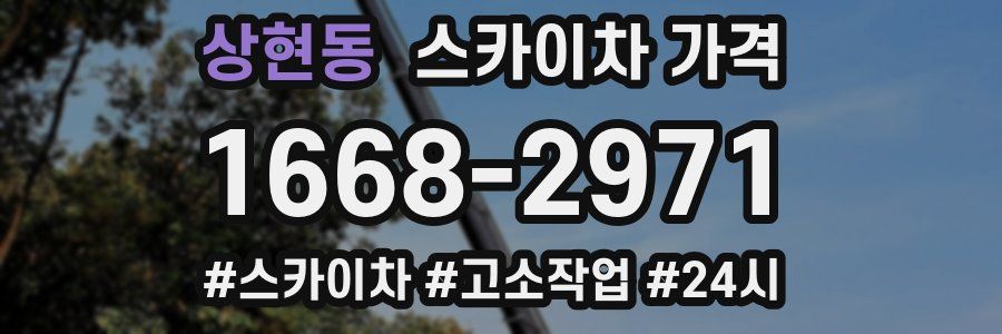 상현동 스카이차 가격