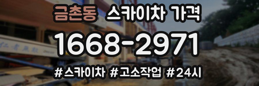 금촌동 스카이차 가격