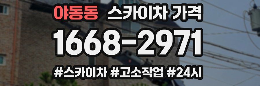 야동동 스카이차 가격