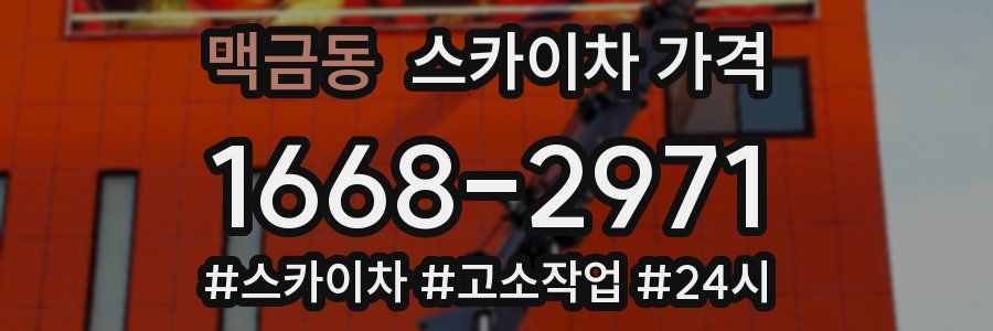 맥금동 스카이차 가격