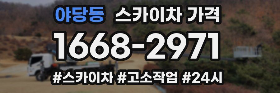 야당동 스카이차 가격