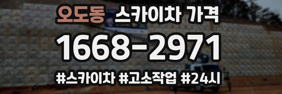 오도동 스카이차 가격