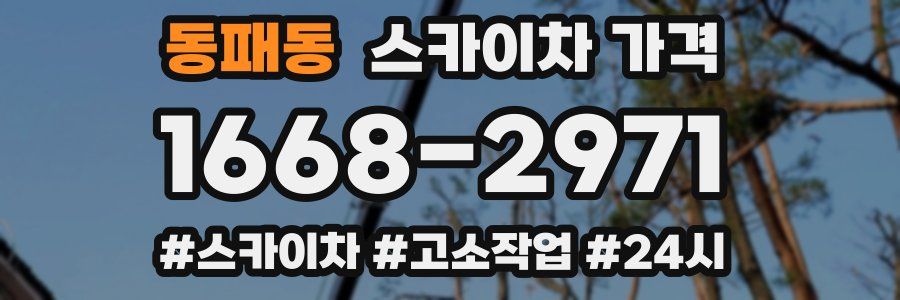 동패동 스카이차 가격