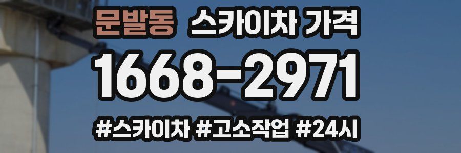 문발동 스카이차 가격