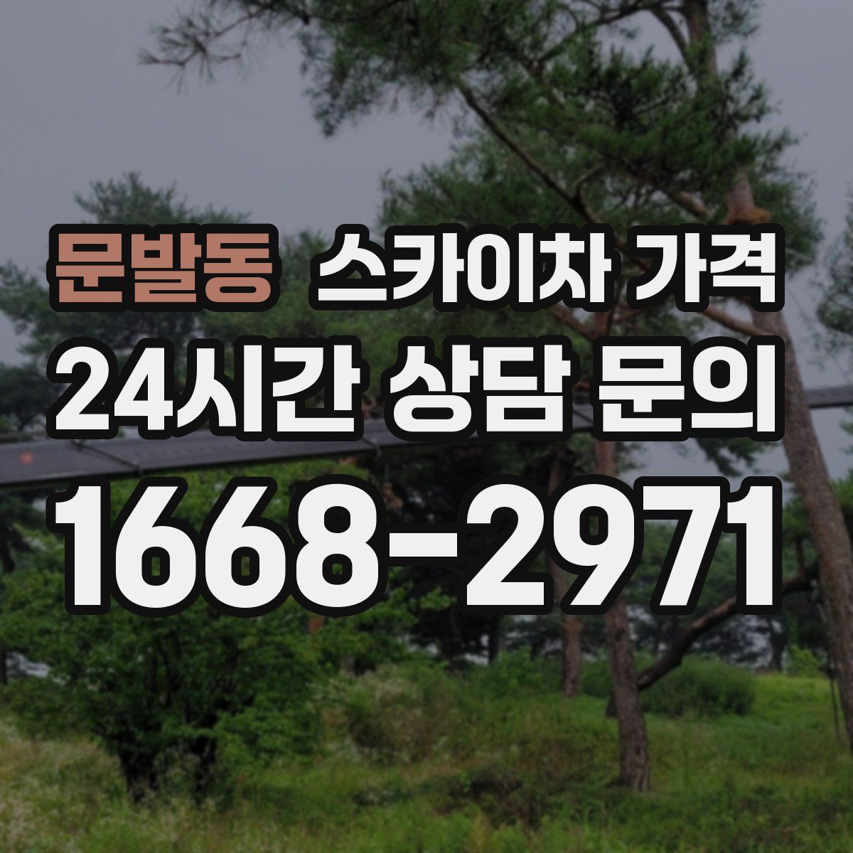 문발동 스카이차 가격