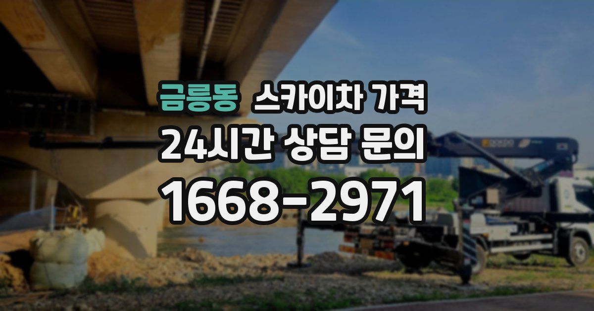 금릉동 스카이차 가격