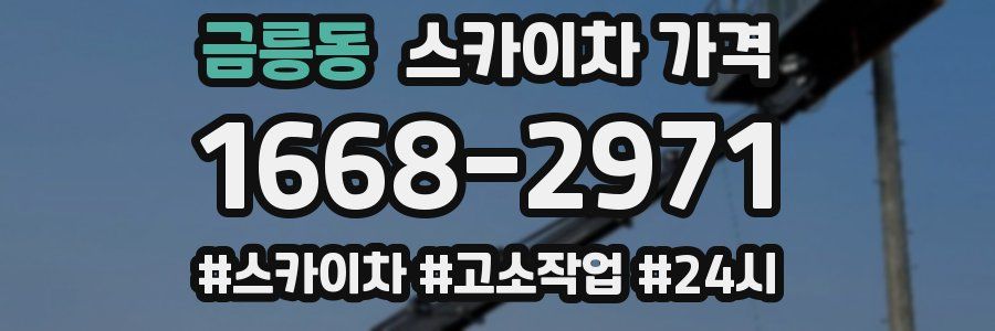 금릉동 스카이차 가격