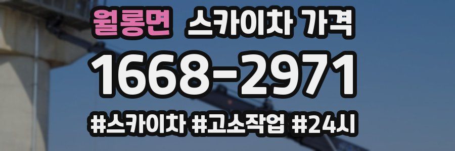 월롱면 스카이차 가격