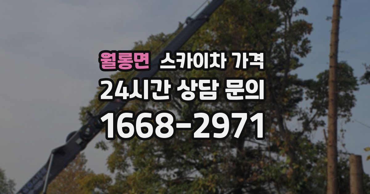 월롱면 스카이차 가격