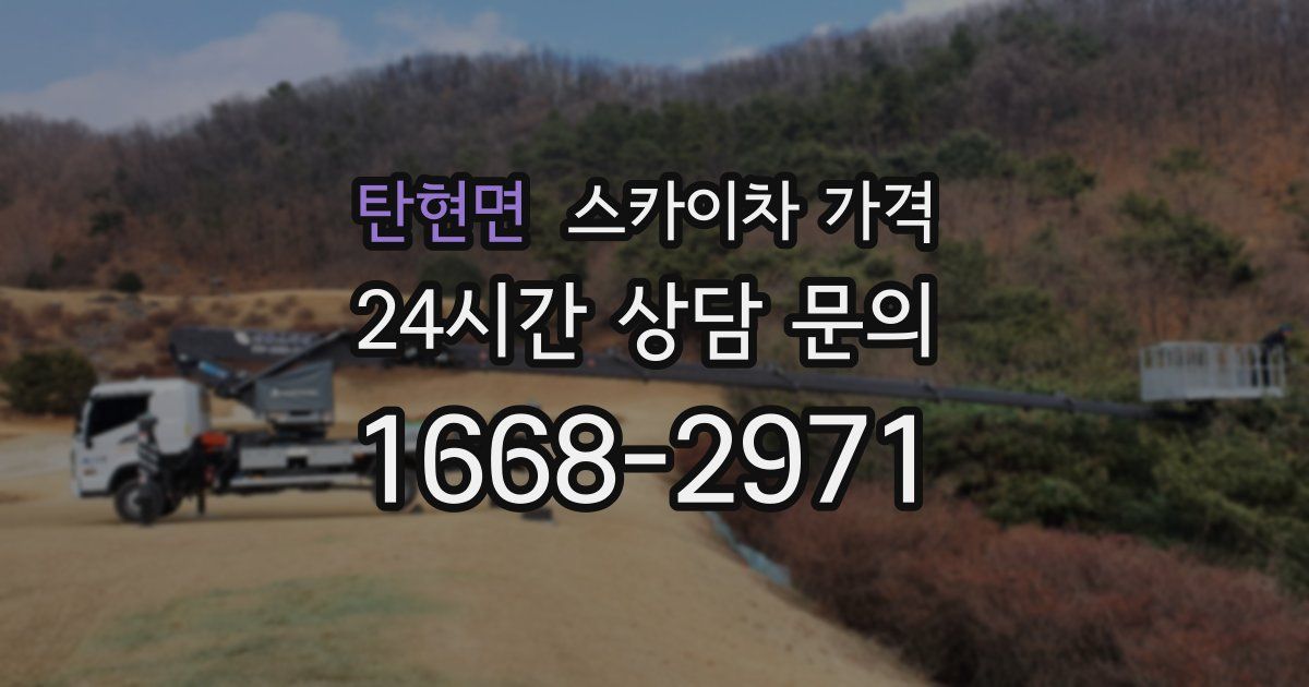 탄현면 스카이차 가격