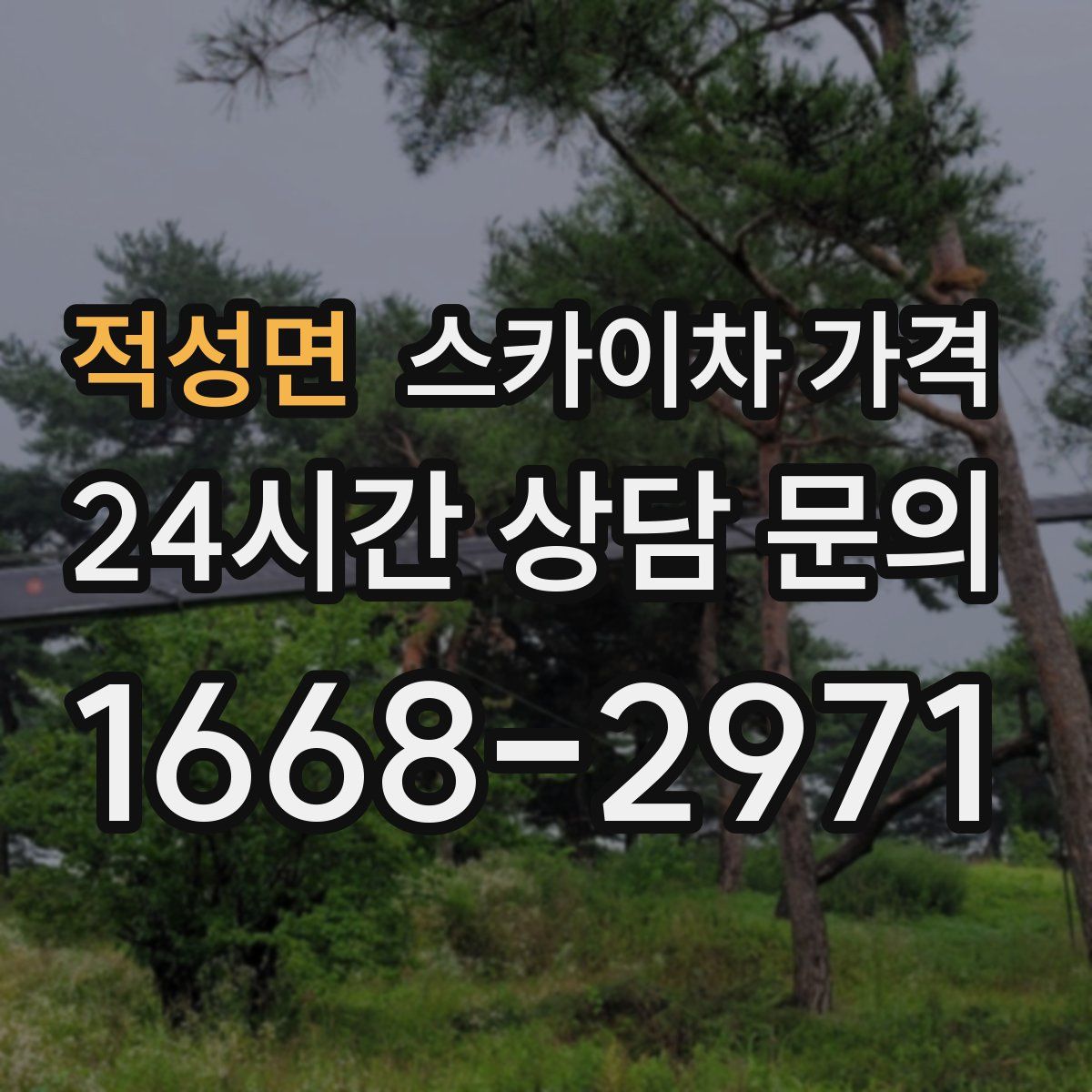 적성면 스카이차 가격