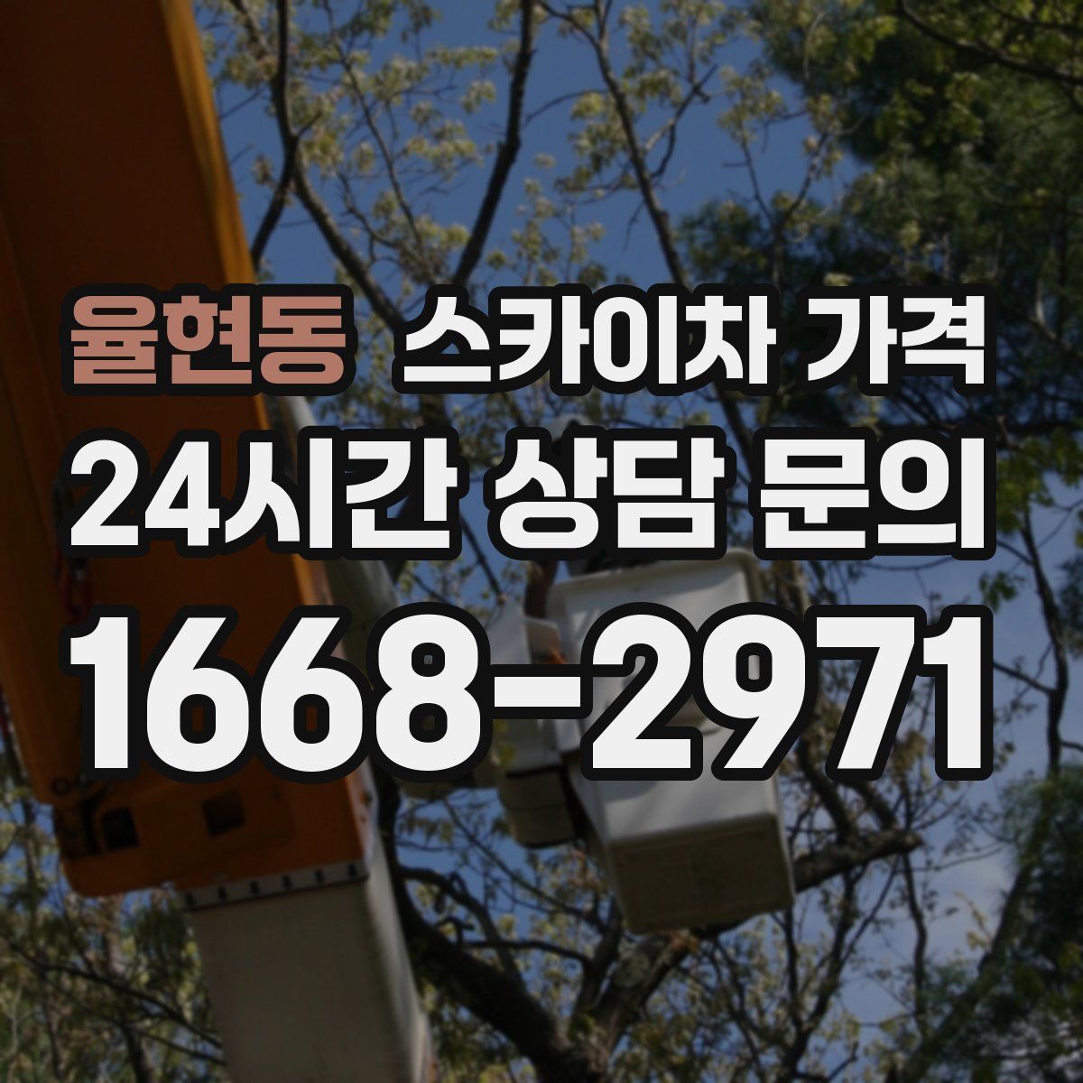 율현동 스카이차 가격