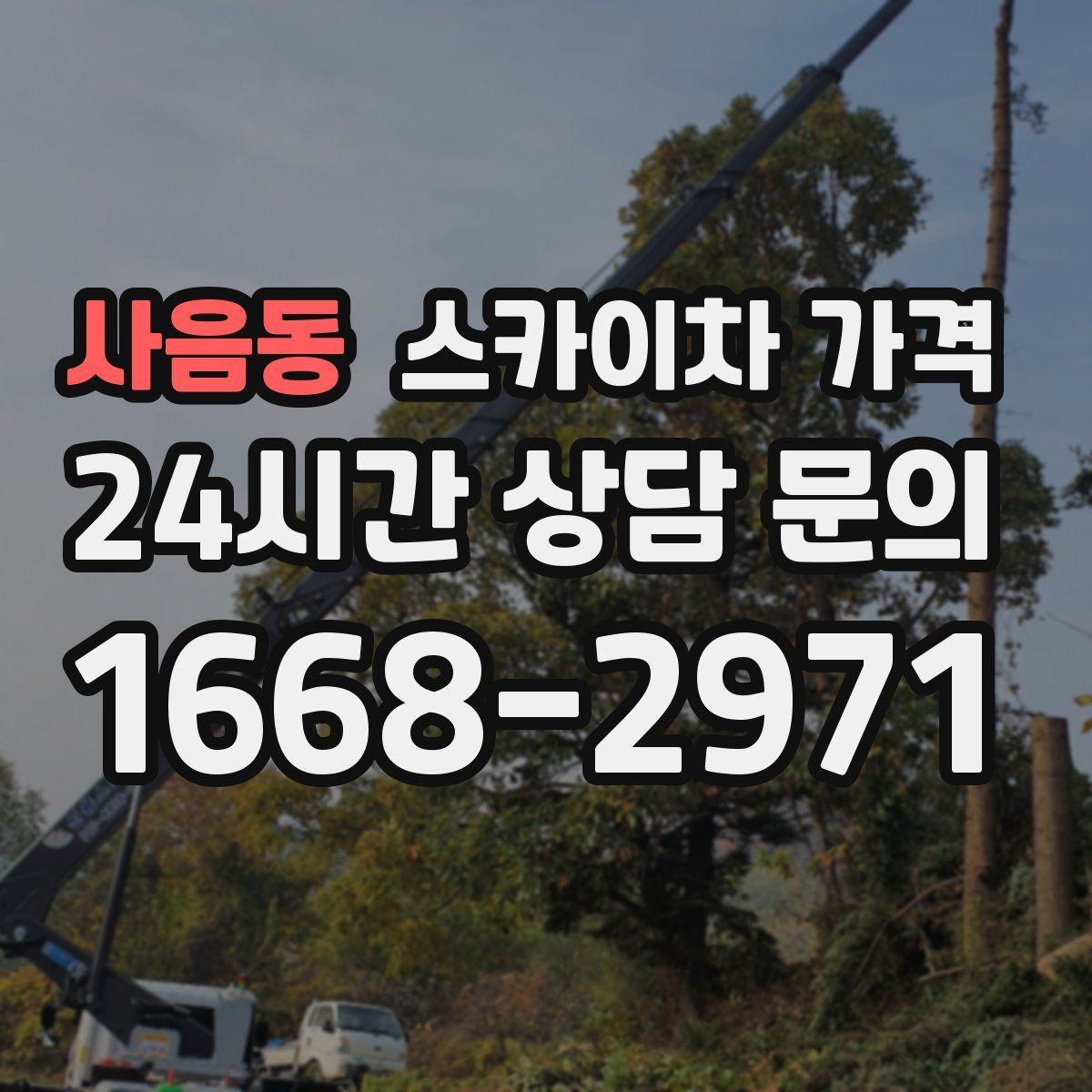 사음동 스카이차 가격