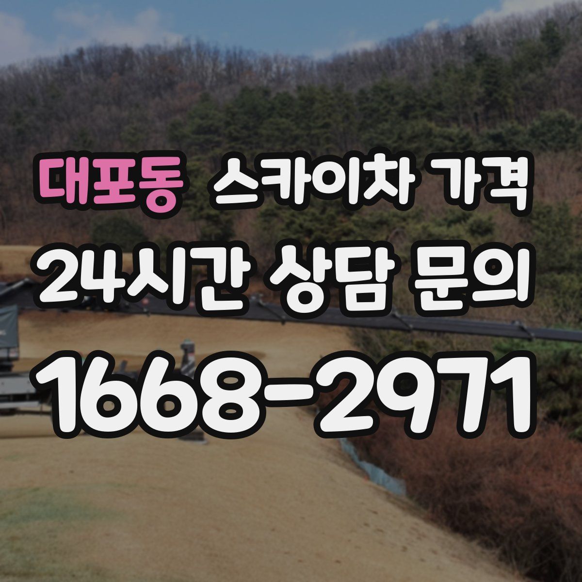 대포동 스카이차 가격