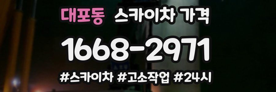 대포동 스카이차 가격