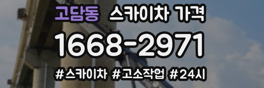 고담동 스카이차 가격