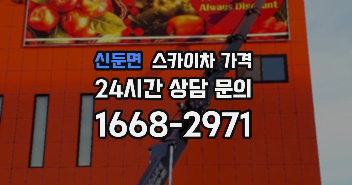 신둔면 스카이차 가격