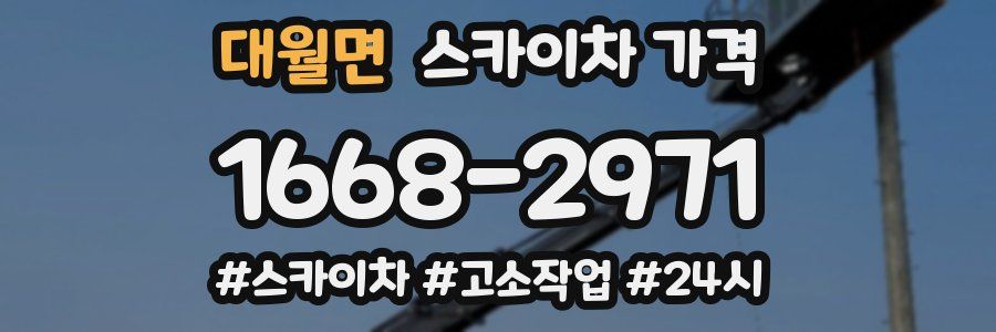 대월면 스카이차 가격