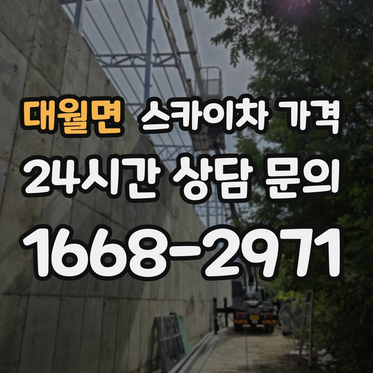 대월면 스카이차 가격