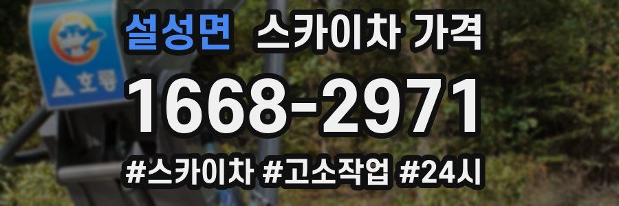 설성면 스카이차 가격