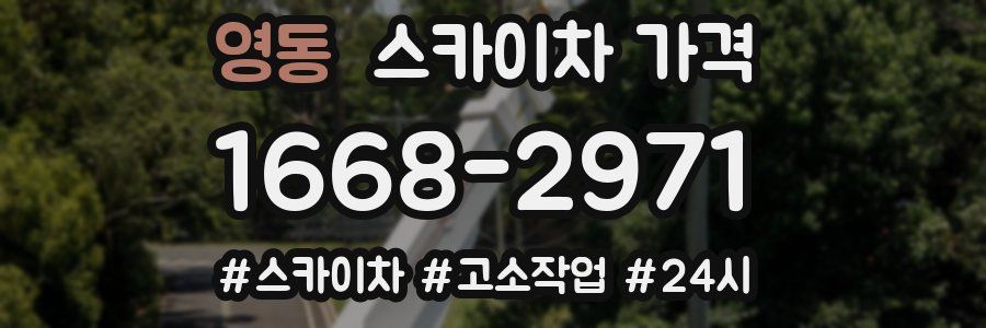 영동 스카이차 가격