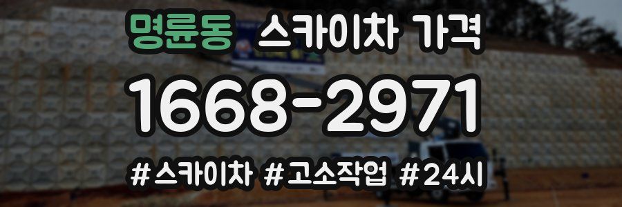 명륜동 스카이차 가격