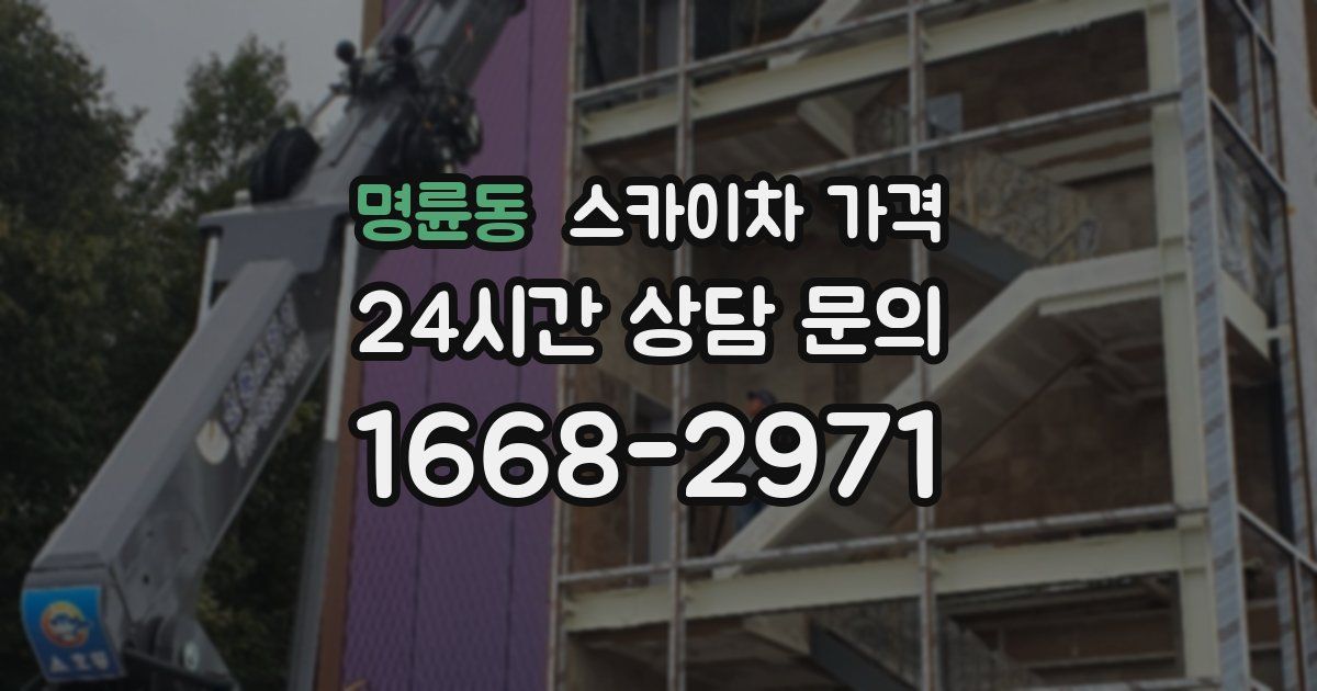 명륜동 스카이차 가격