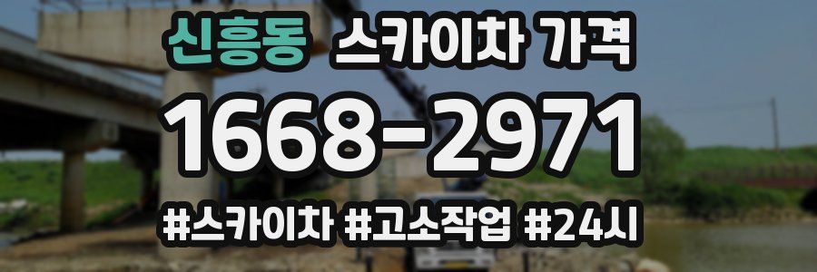 신흥동 스카이차 가격