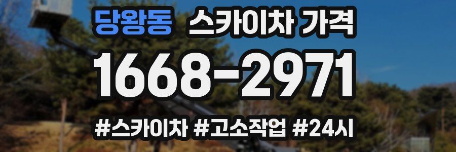 당왕동 스카이차 가격