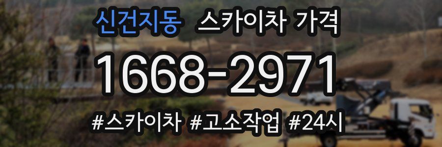 신건지동 스카이차 가격