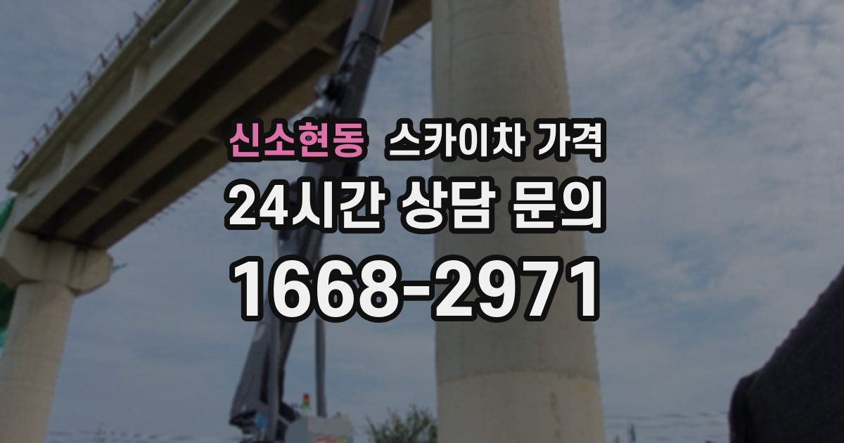 신소현동 스카이차 가격