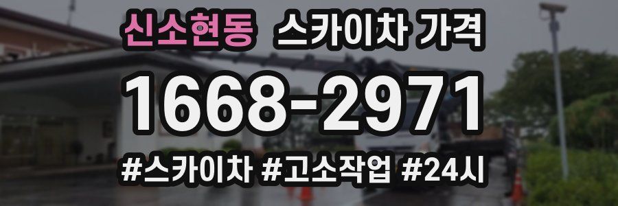 신소현동 스카이차 가격