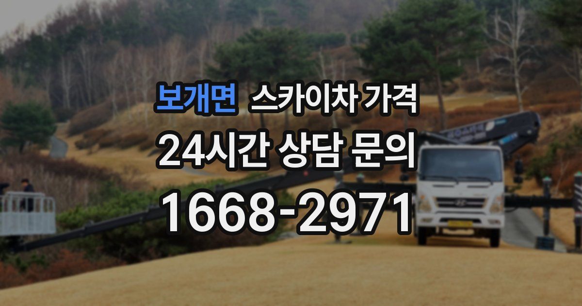 보개면 스카이차 가격