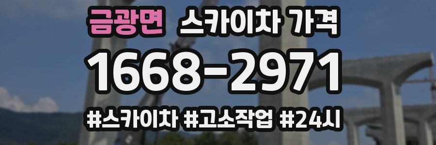 금광면 스카이차 가격