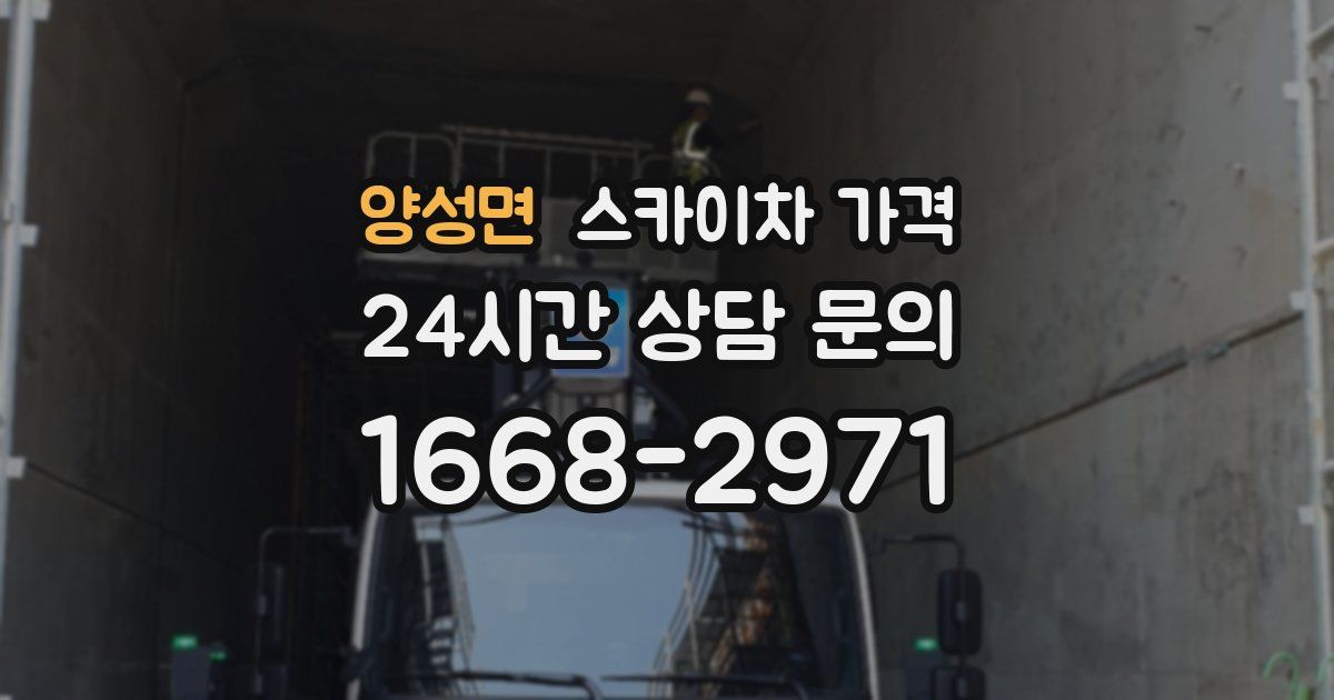 양성면 스카이차 가격