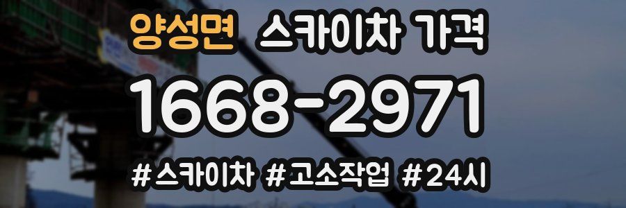 양성면 스카이차 가격