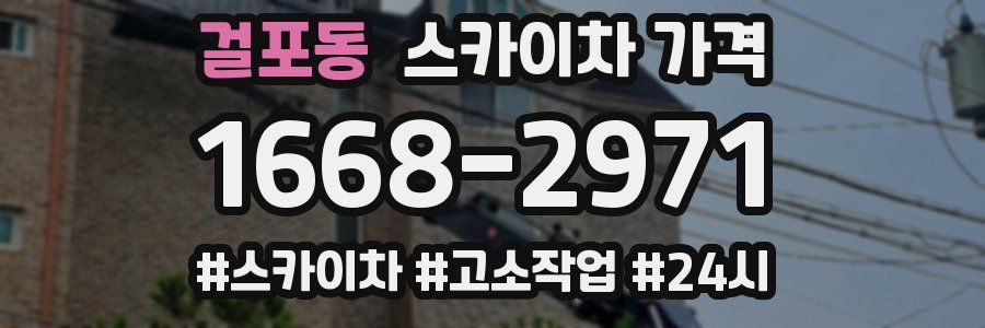 걸포동 스카이차 가격