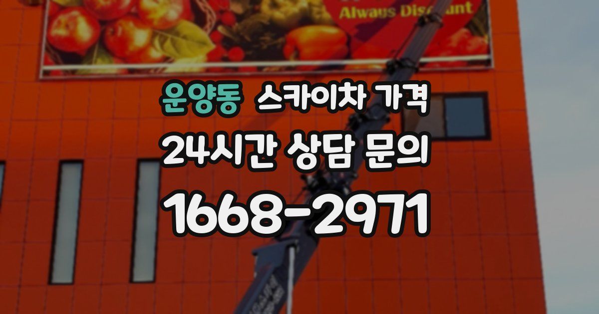 운양동 스카이차 가격