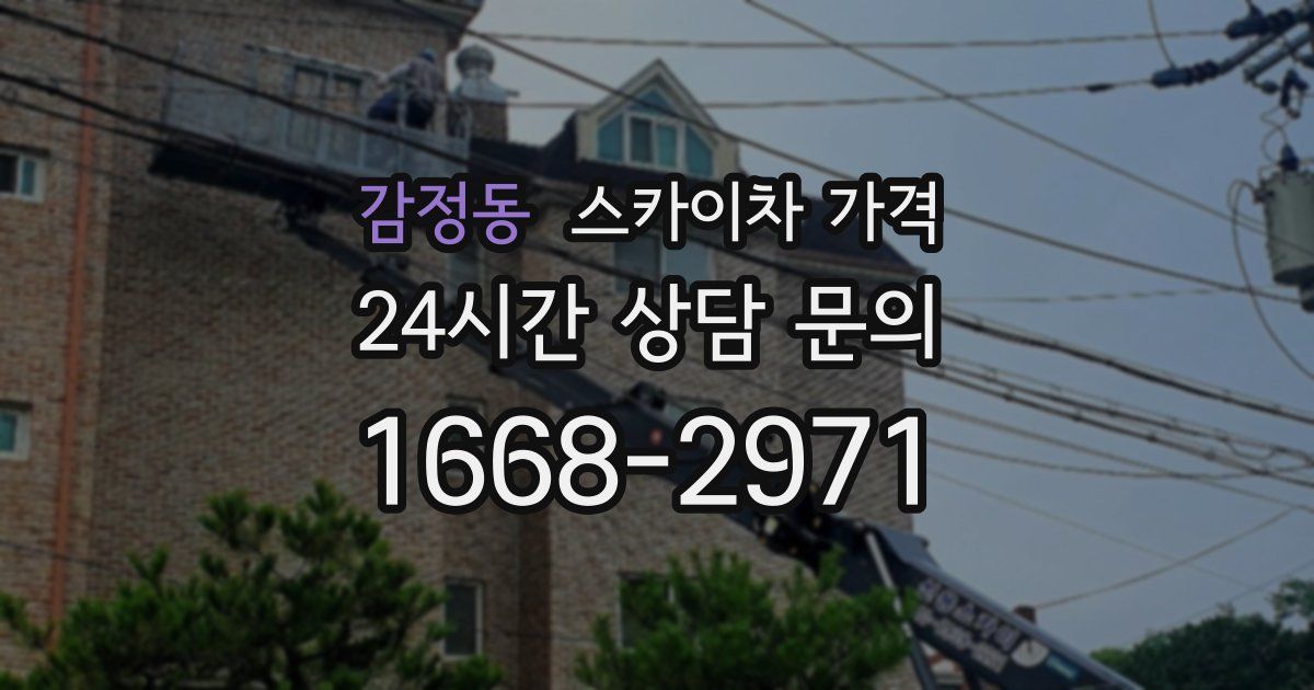 감정동 스카이차 가격