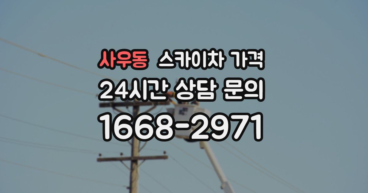 사우동 스카이차 가격