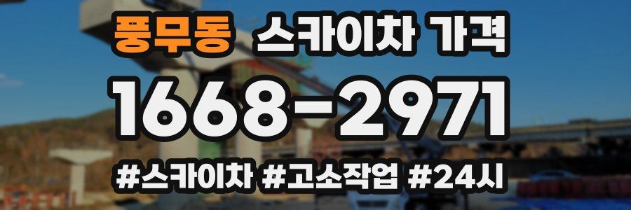 풍무동 스카이차 가격