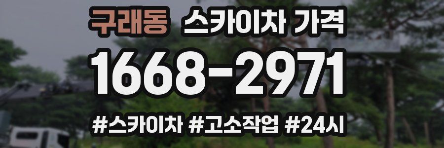구래동 스카이차 가격