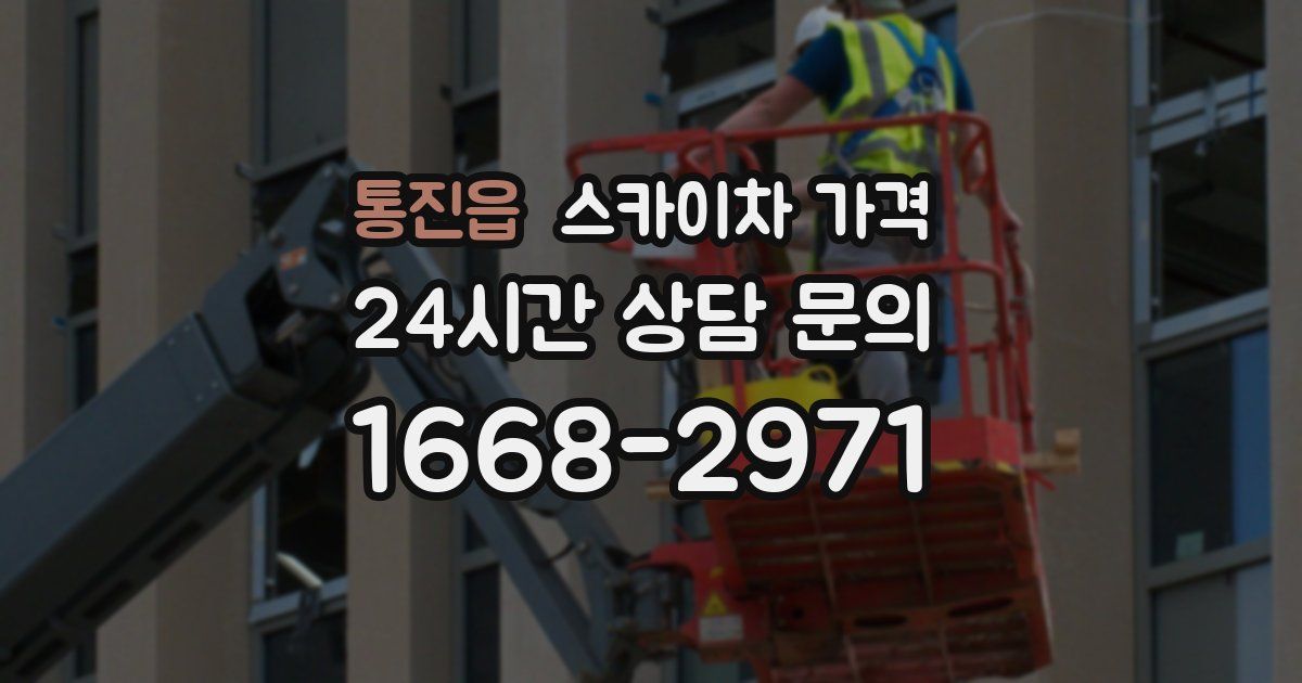 통진읍 스카이차 가격