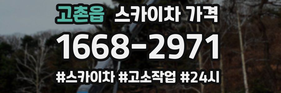 고촌읍 스카이차 가격
