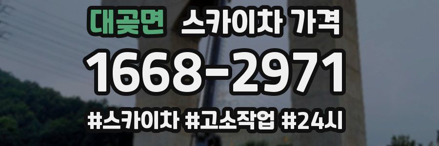 대곶면 스카이차 가격