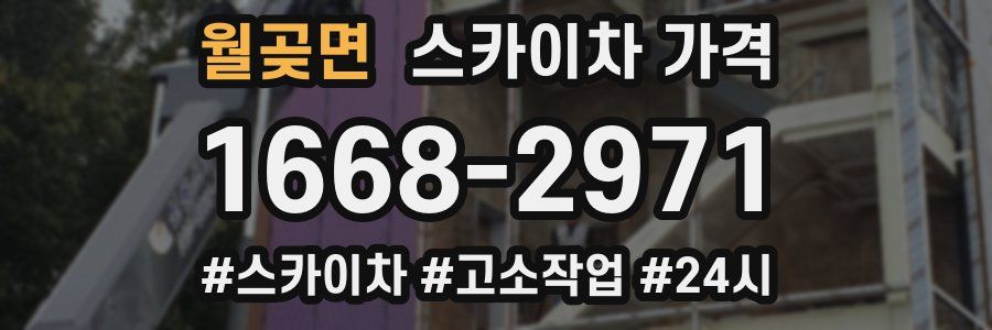 월곶면 스카이차 가격