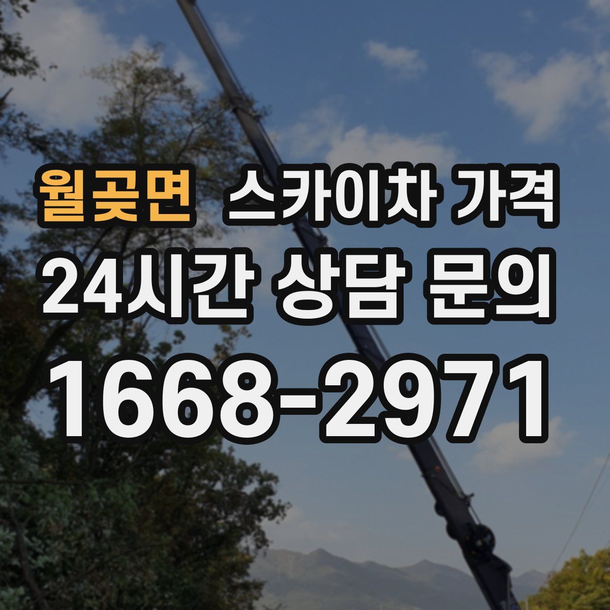 월곶면 스카이차 가격