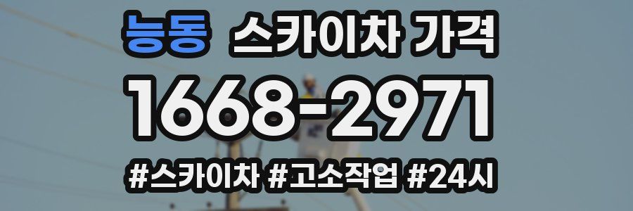 능동 스카이차 가격